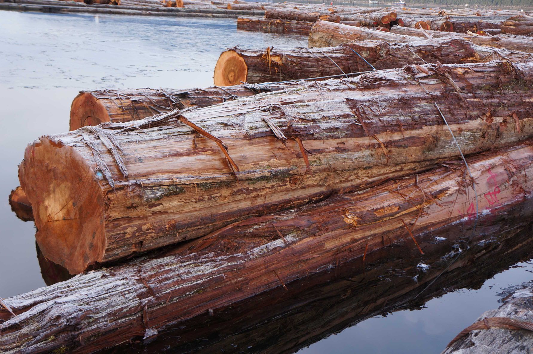 cedar-lumber-banner-image