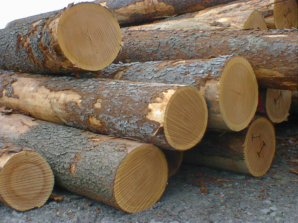 white-oak-logs-banner-image-canada